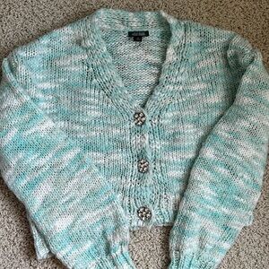 Teal Wild Fable Sweater